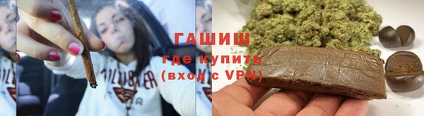 индика Пестово
